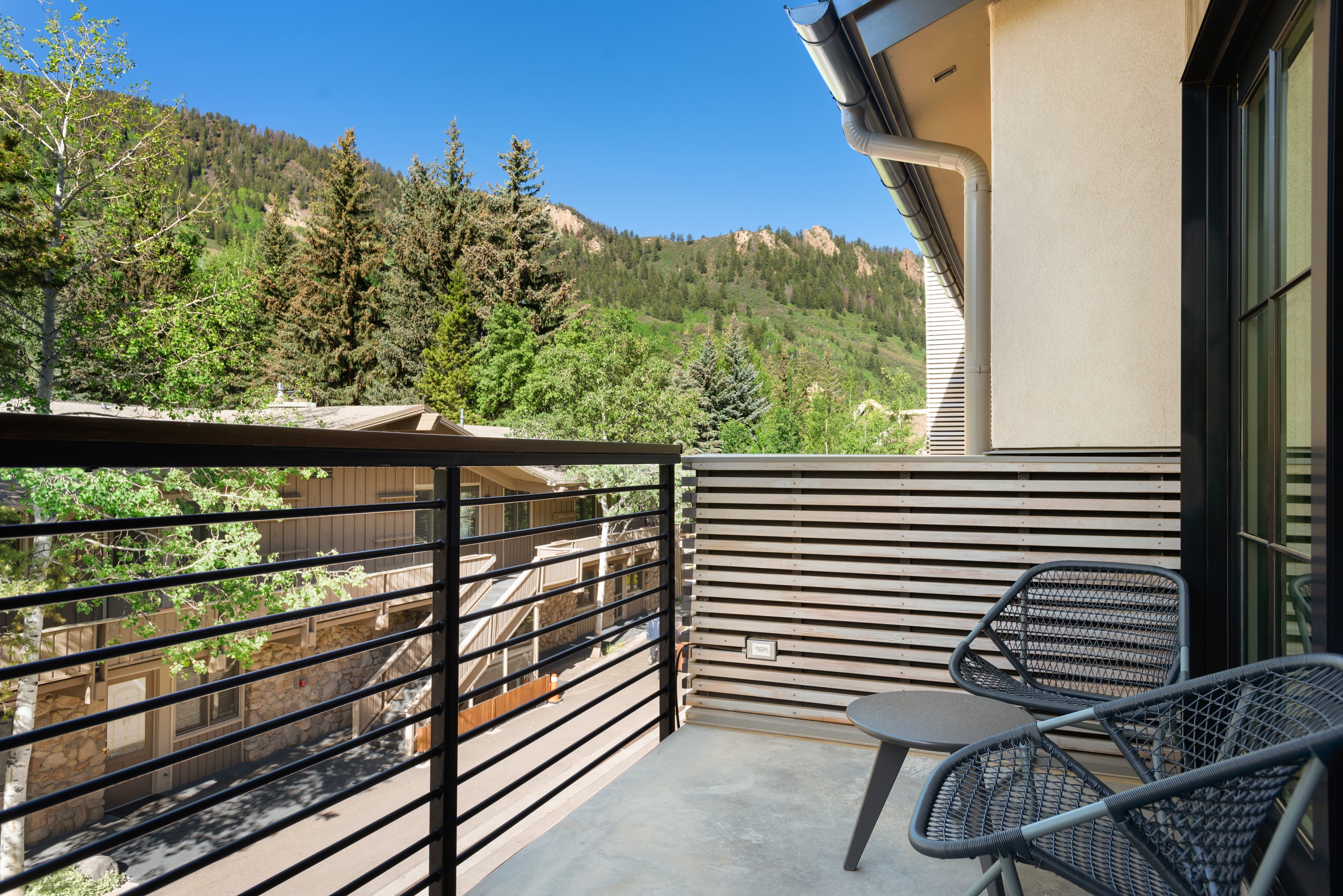 550 S Spring Street 392, Aspen, CO 81611 - Photo 4