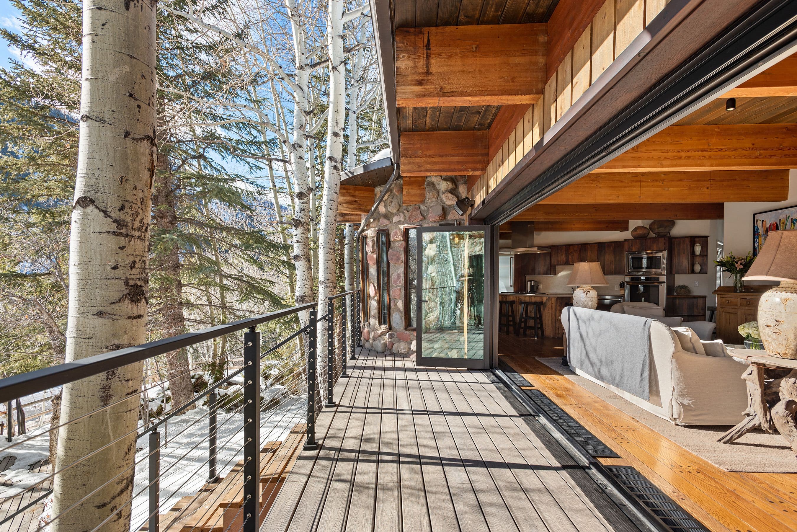 164 Eastwood Road, Aspen, CO 81611 - Photo 19