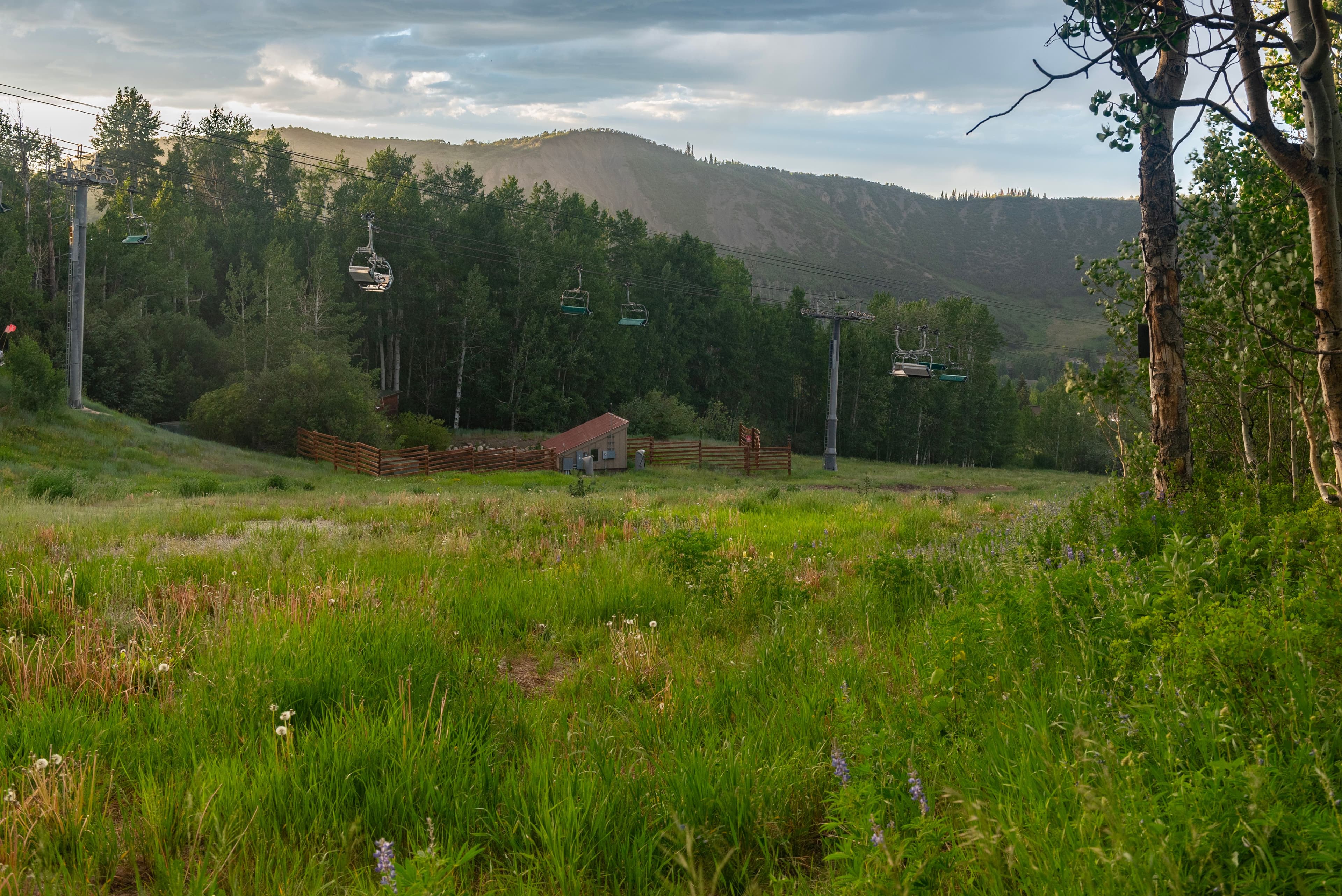 473 Creek Lane, Snowmass Village, CO 81615 - Photo 34