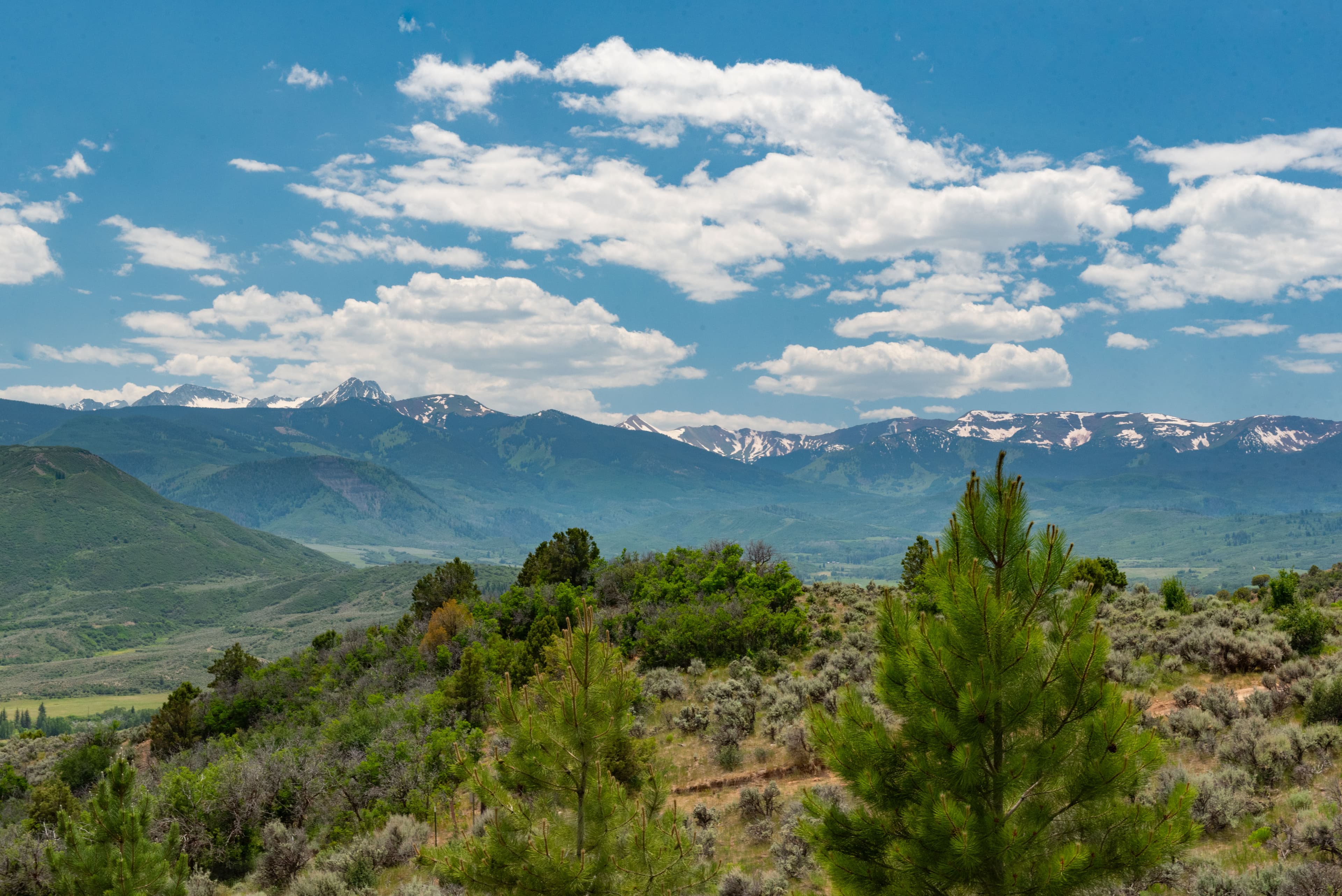 614 Light Hill Road, Snowmass, CO 81654 - Photo 9