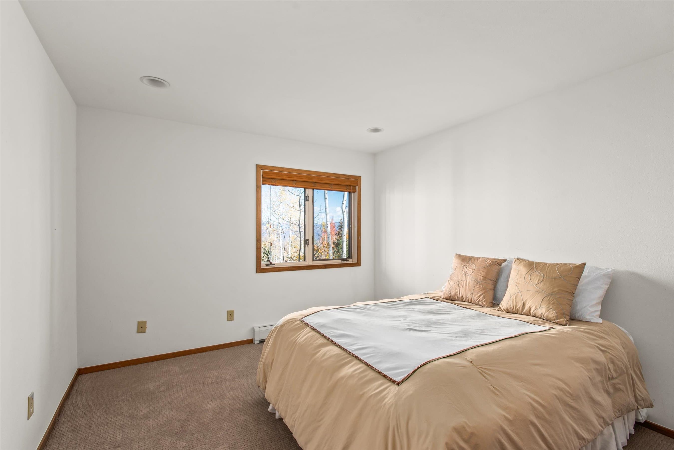 2055 Faraway Road, Snowmass Village, CO 81615 - Photo 24