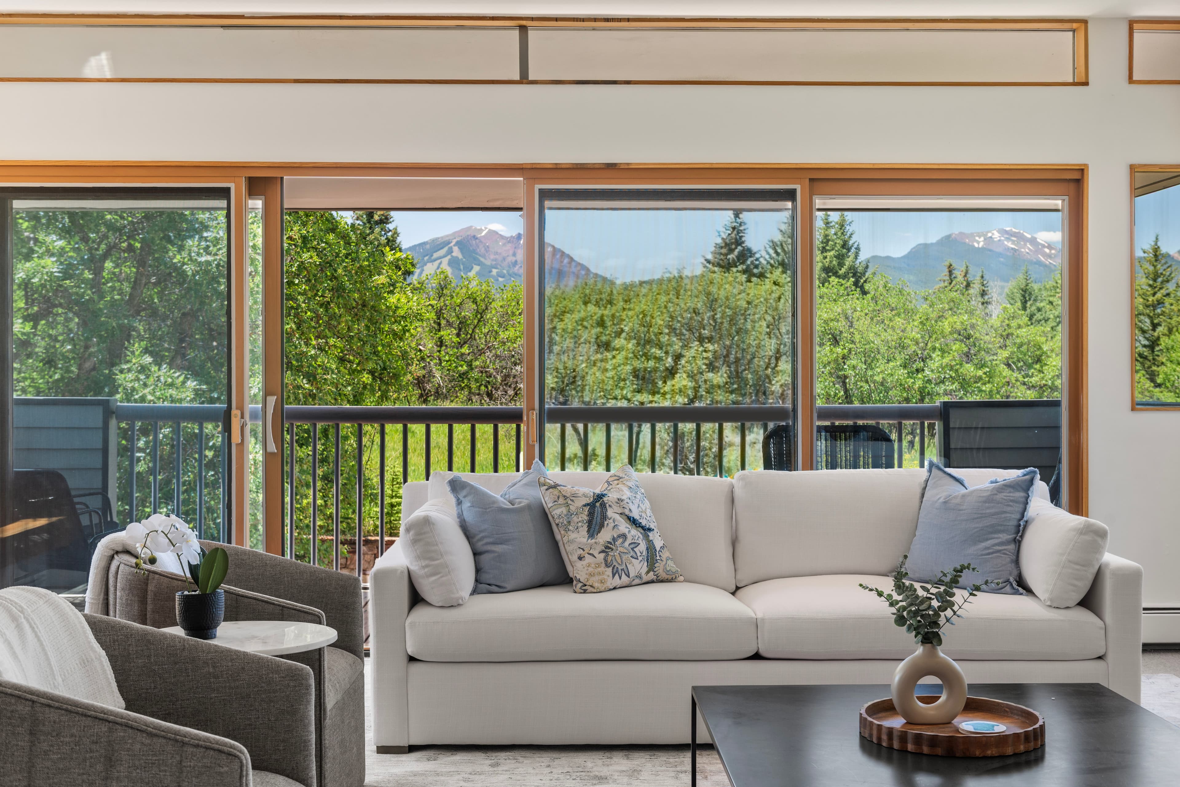 623 Johnson Drive, Aspen, CO 81611 - Photo 36