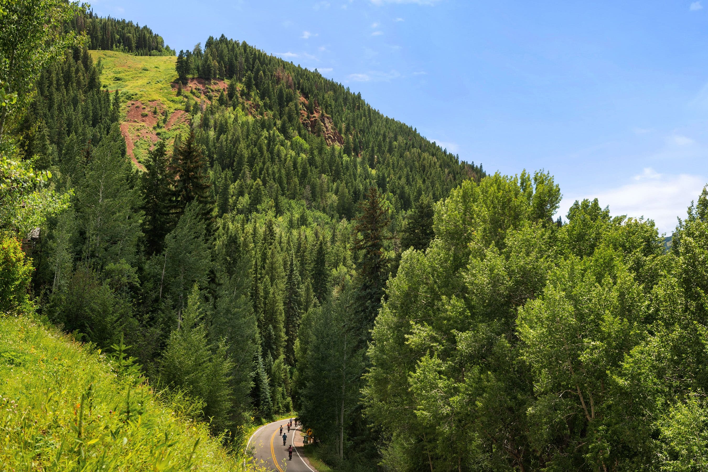83 Exhibition Lane, Aspen, CO 81611 - Photo 22