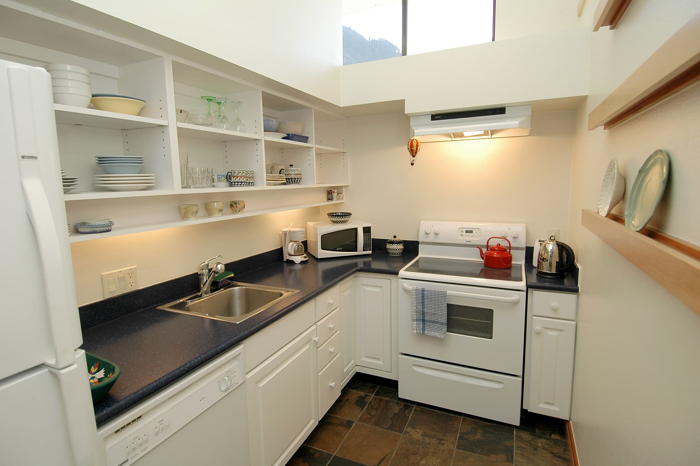 311 S Aspen Street Unit 6, Aspen, CO 81611 - Photo 3