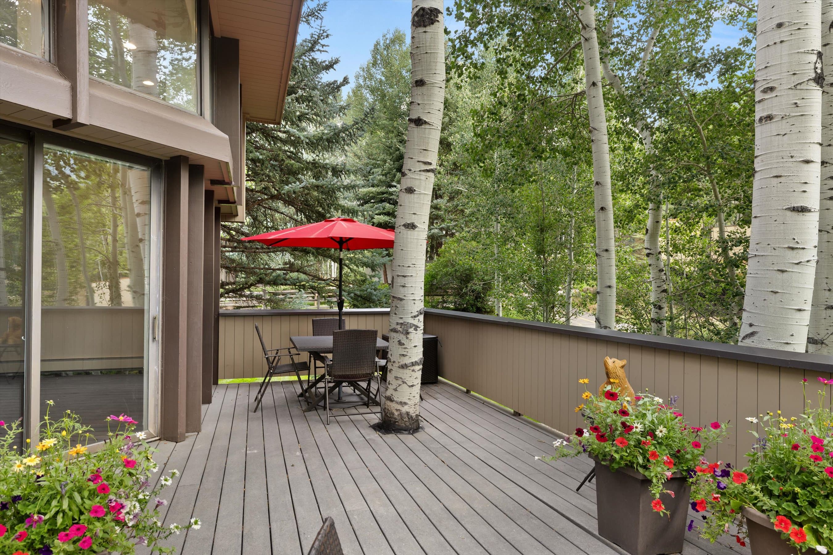 1443 Crystal Lake Road 3E, Aspen, CO 81611 - Photo 9