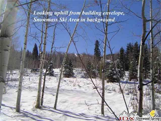 - 1005 Wood Road, Snowmass Village, CO 81615