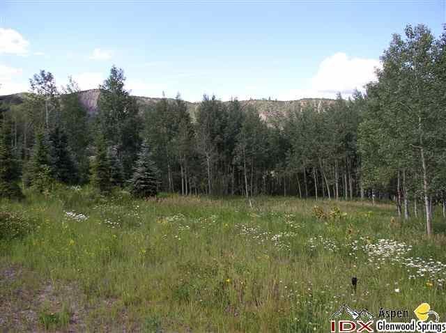 - 1005 Wood Road, Snowmass Village, CO 81615 - Photo 7