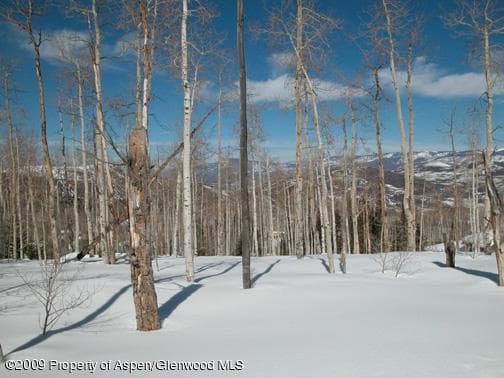 2034 Faraway Road, Snowmass Village, CO 81615