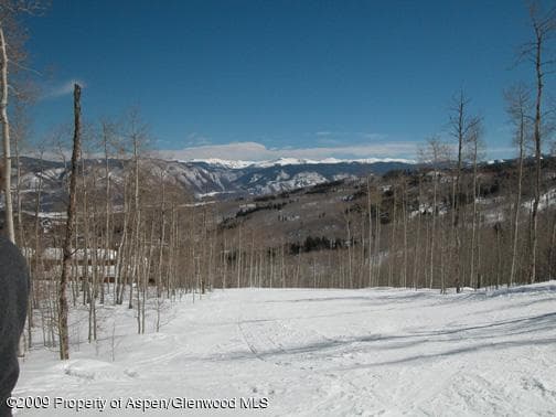 2034 Faraway Road, Snowmass Village, CO 81615 - Photo 2