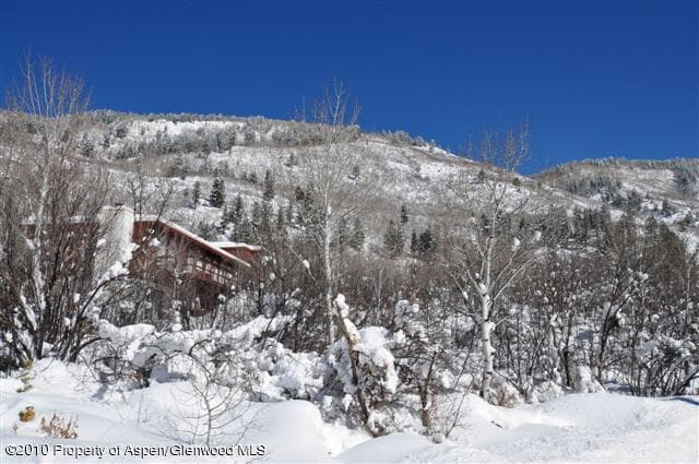 31 Mountain Laurel Drive, Aspen, CO 81611 - Photo 8