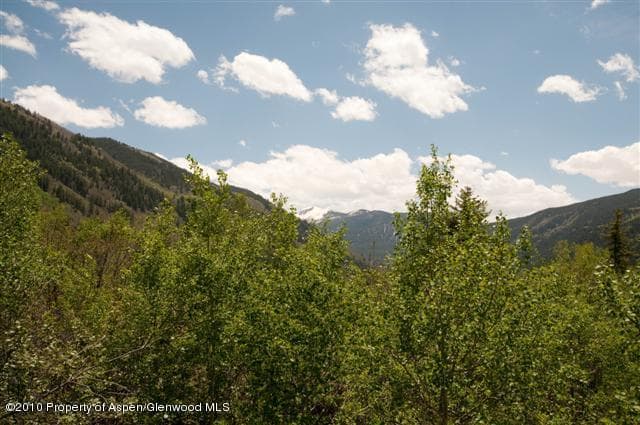31 Mountain Laurel Drive, Aspen, CO 81611