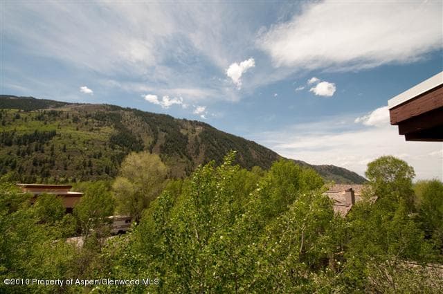 31 Mountain Laurel Drive, Aspen, CO 81611 - Photo 2
