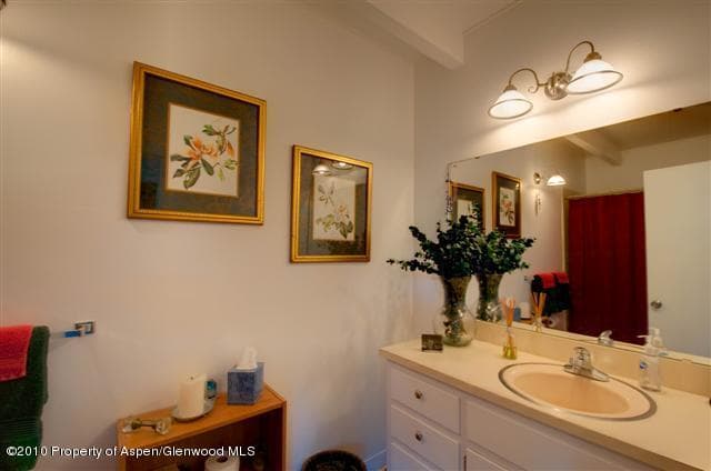 31 Mountain Laurel Drive, Aspen, CO 81611 - Photo 6