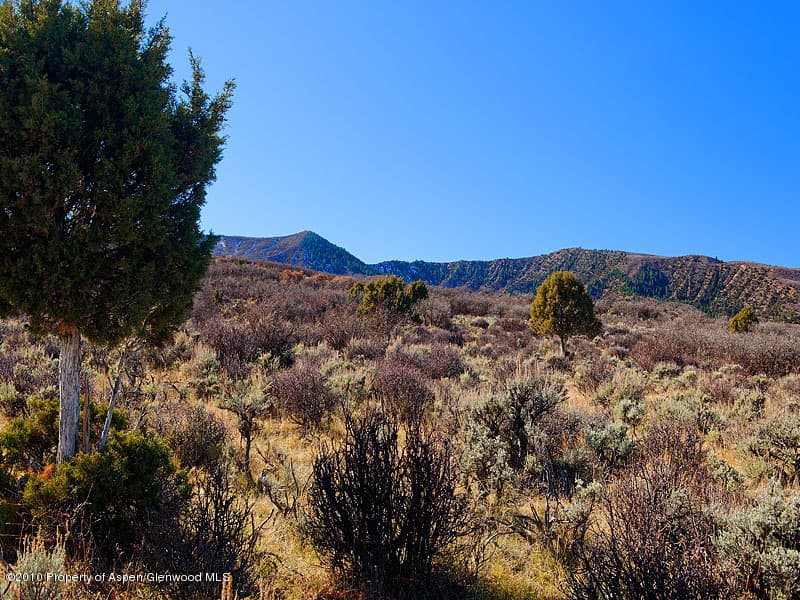 794 Hook Spur Road, Basalt, CO 81621 - Photo 6