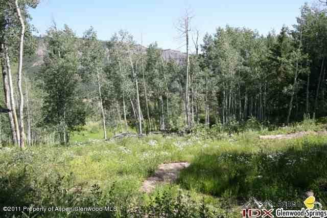 611 Edgewood Lane, Snowmass Village, CO 81615 - Photo 2