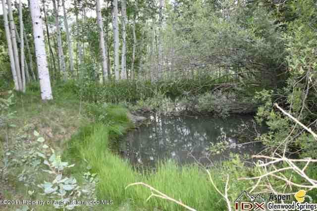 611 Edgewood Lane, Snowmass Village, CO 81615 - Photo 6