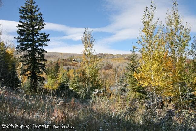 461 Pine Crest Drive, Snowmass Village, CO 81615 - Photo 2