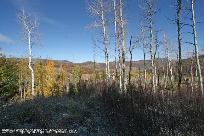 461 Pine Crest Drive, Snowmass Village, CO 81615 - Photo 3