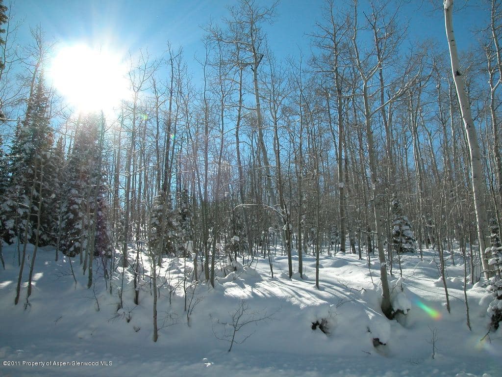 2034 Faraway Road, Snowmass Village, CO 81615 - Photo 4