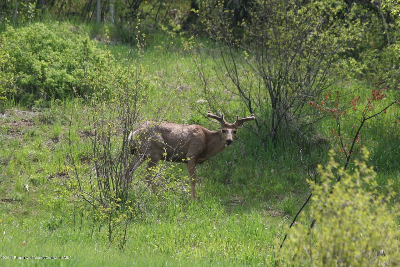 Tbd & 137 Northway Drive Bl 5 Lots 12 & 14; Bl 1 Lot 14, Aspen, CO 81611 - Photo 5