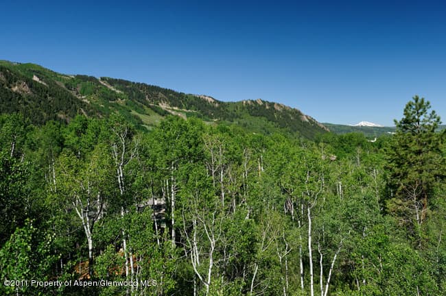 67 Ardmore Court, Aspen, CO 81611 - Photo 9