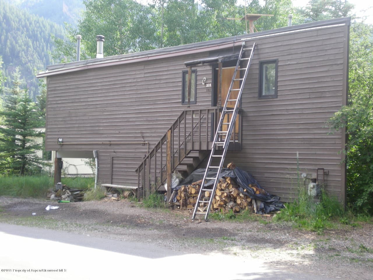 105 Park Avenue, Aspen, CO 81611 - Photo 2