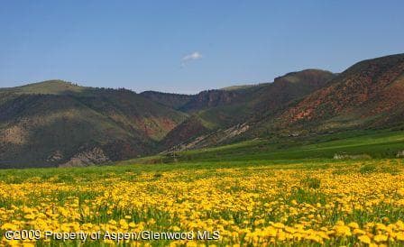 Tbd Woody Creek Road, Aspen, CO 81611 - Photo 7