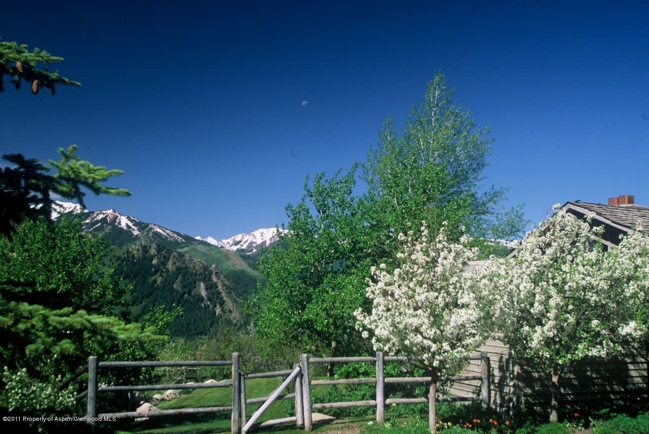 734 Hunter Creek Road, Aspen, CO 81611 - Photo 4