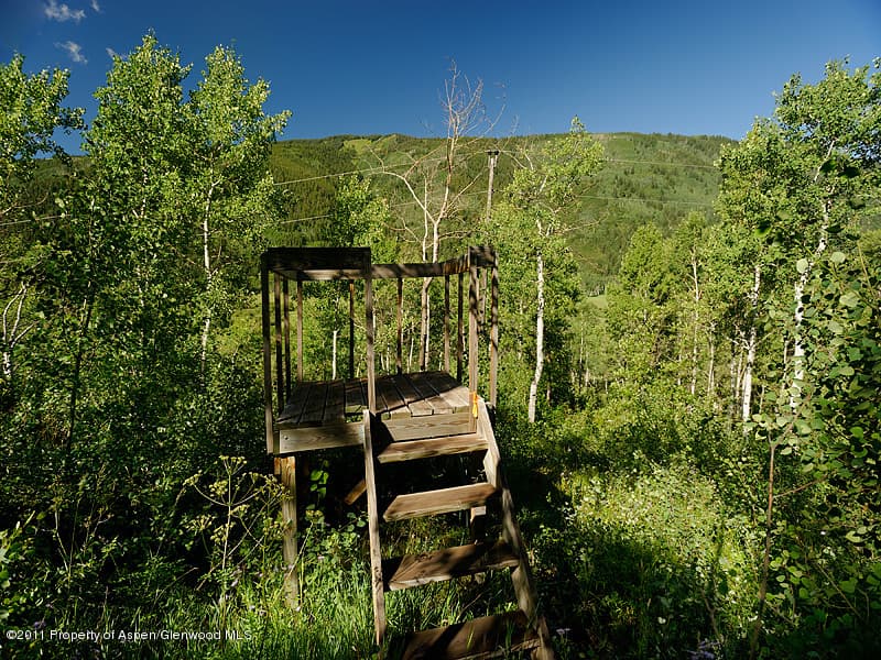 43399 Highway 82, Aspen, CO 81611 - Photo 7