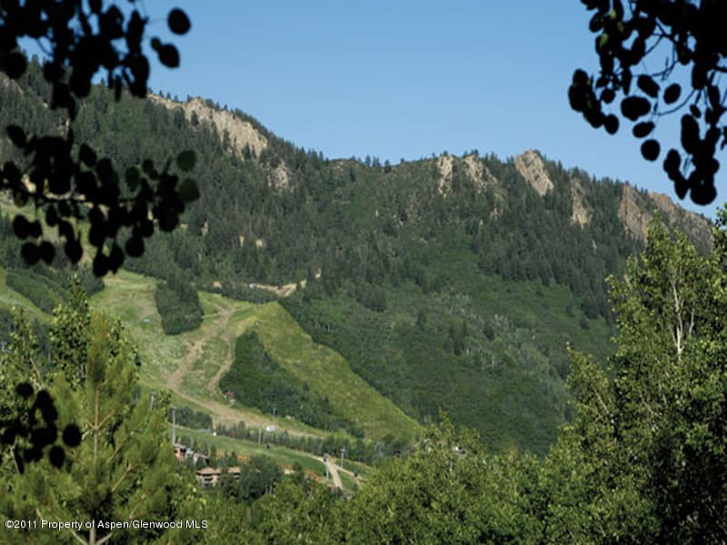 189 Skimming Lane, Aspen, CO 81611 - Photo 2