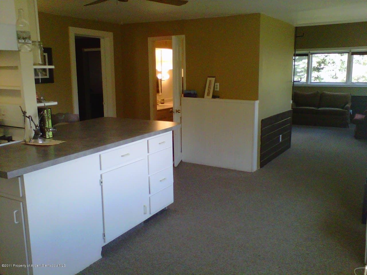 661 Twining Flats Road, Aspen, CO 81611 - Photo 3