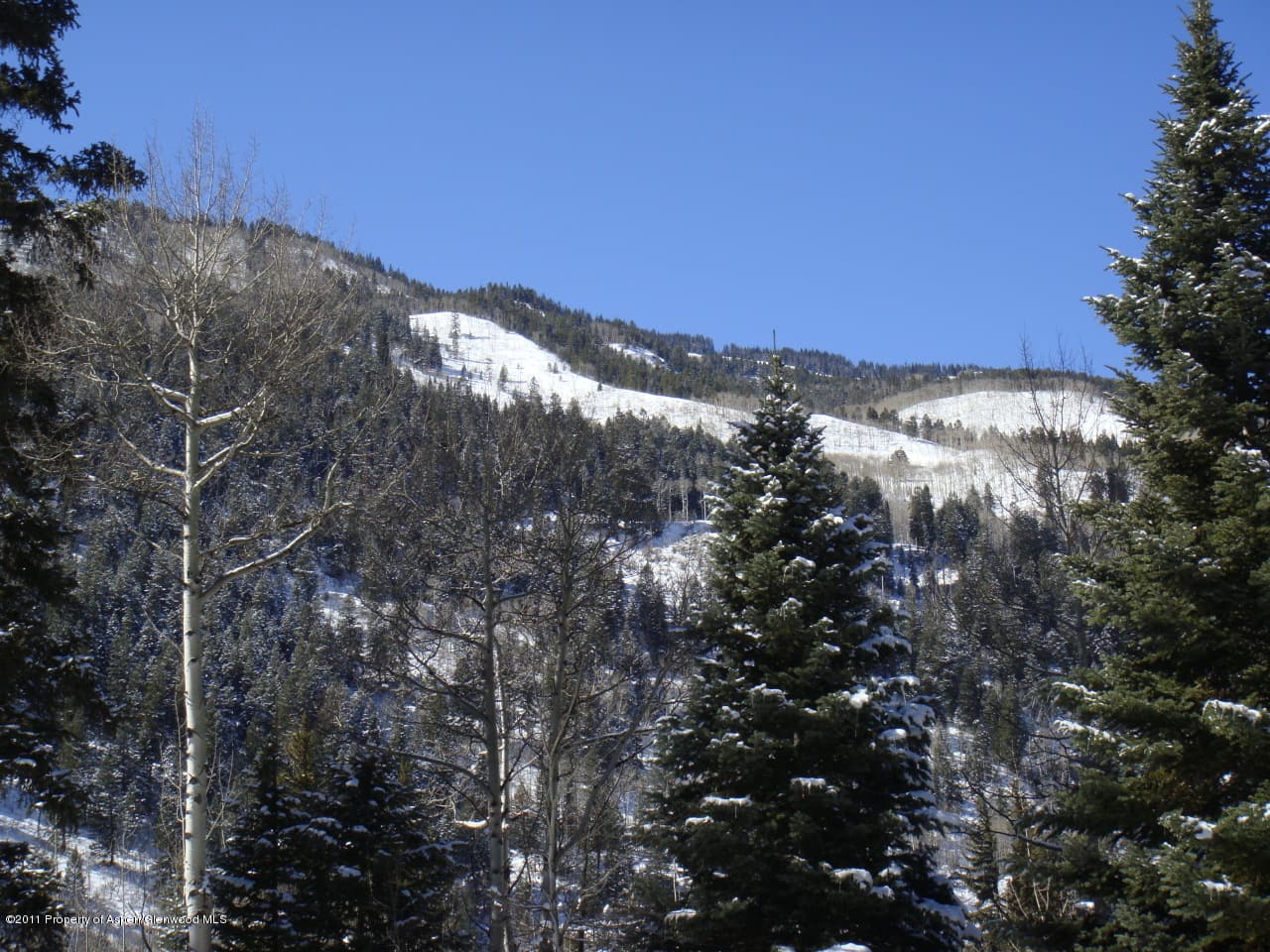 44971 Highway 82, Aspen, CO 81611 - Photo 9