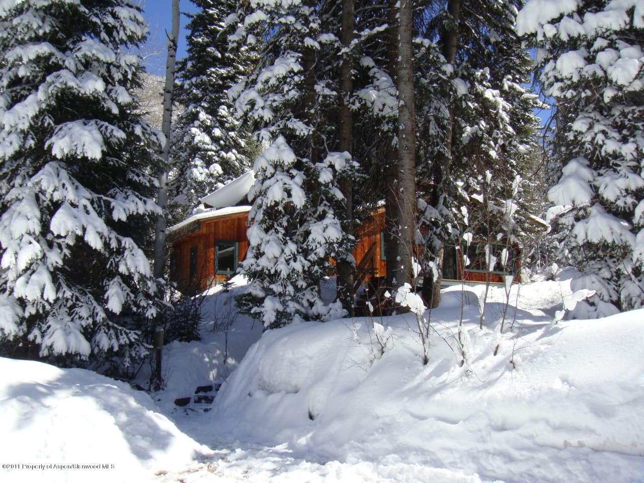 44971 Highway 82, Aspen, CO 81611 - Photo 10