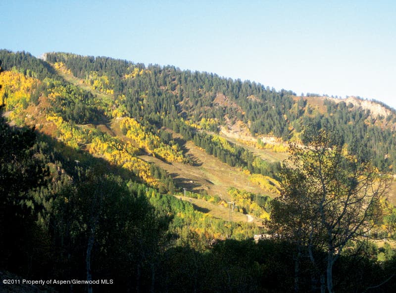 189 Skimming Lane, Aspen, CO 81611