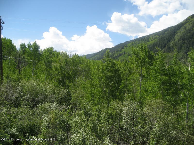 287 Mcskimming Road, Aspen, CO 81611 - Photo 6