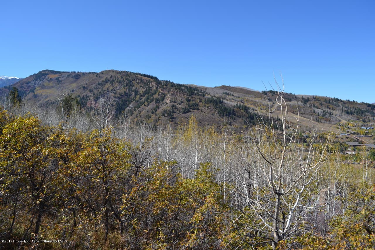 779 Moore Drive, Aspen, CO 81611 - Photo 14