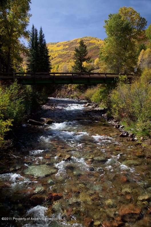 225 Hall Drive, Aspen, CO 81611 - Photo 3