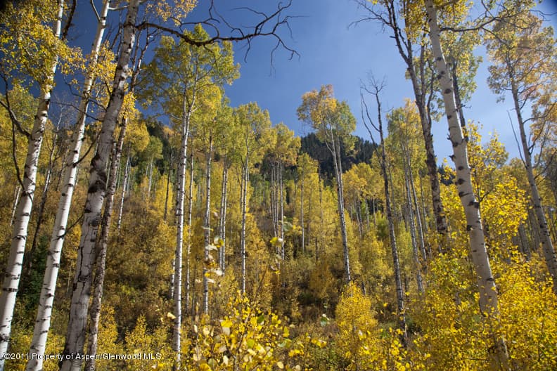 225 Hall Drive, Aspen, CO 81611 - Photo 4
