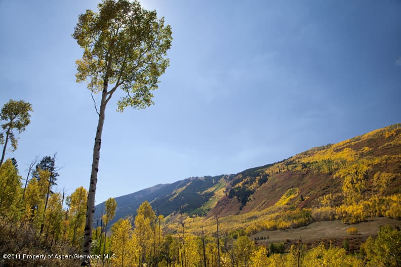 225 Hall Drive, Aspen, CO 81611 - Photo 7