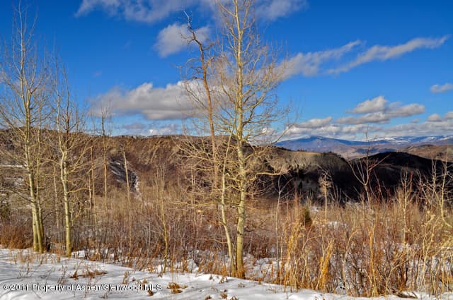 Tbd Baby Doe Lane, Snowmass Village, CO 81615 - Photo 4
