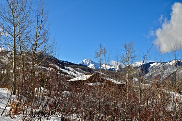 Tbd Baby Doe Lane, Snowmass Village, CO 81615 - Photo 5