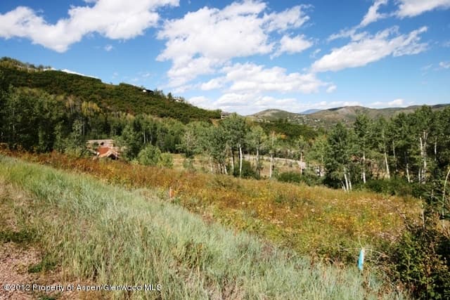 Tbd Two Creeks Drive, Snowmass Village, CO 81615 - Photo 8
