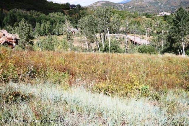 Tbd Two Creeks Drive, Snowmass Village, CO 81615 - Photo 9