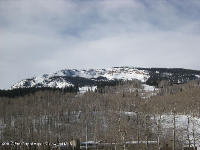 Tbd Two Creeks Drive, Snowmass Village, CO 81615 - Photo 4