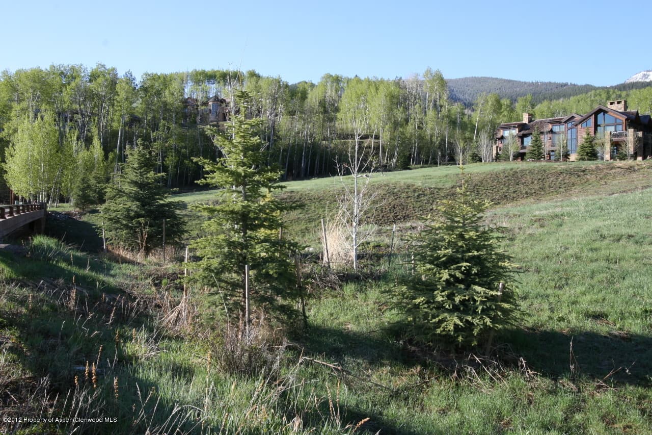 841 Serviceberry, Snowmass Village, CO 81615 - Photo 9