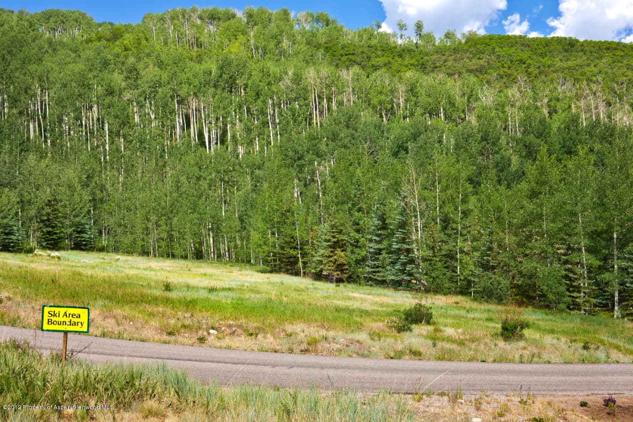151 Blue Spruce Lane, Snowmass Village, CO 81615 - Photo 5