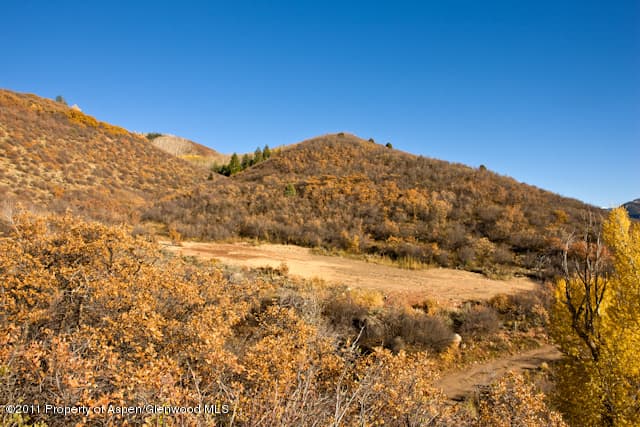 118 Trentaz Drive, Aspen, CO 81611 - Photo 5
