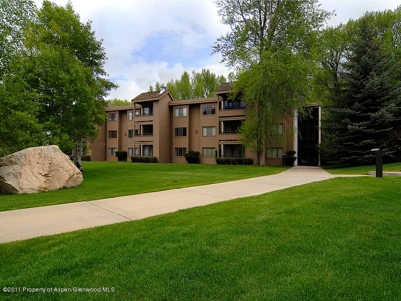 314 Vine Street, Aspen, CO 81611 - Photo 2