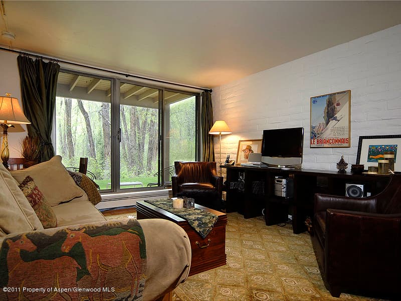 314 Vine Street, Aspen, CO 81611 - Photo 3