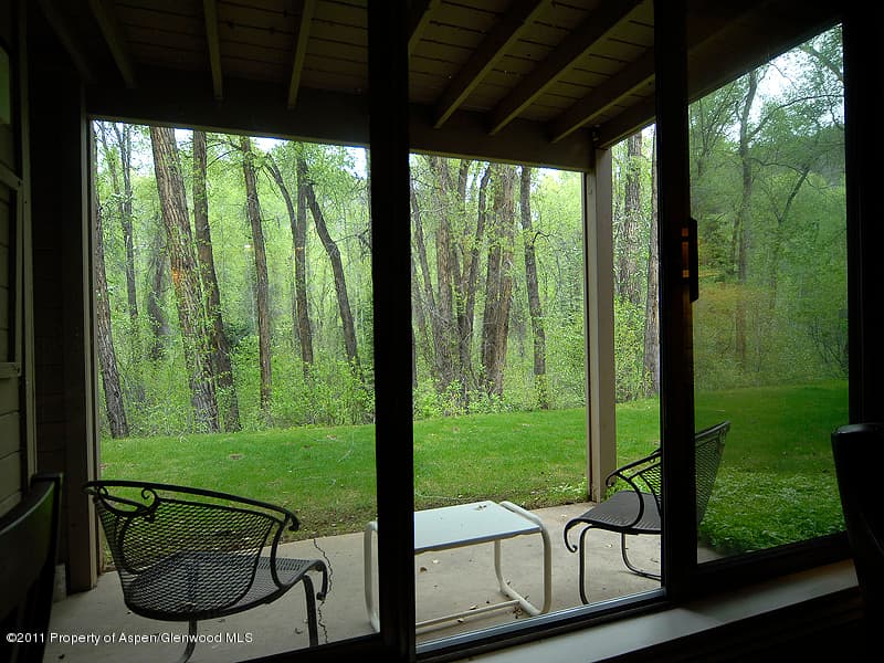 314 Vine Street, Aspen, CO 81611 - Photo 4